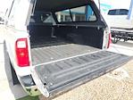2015 Ford F-350 Crew Cab SRW 4x2 Pickup for sale #58705A - photo 17