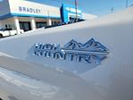 New 2025 Chevrolet Silverado 2500 High Country Crew Cab 4WD Pickup for sale #58863 - photo 12