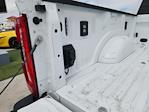 2024 Ford F-250 Crew Cab 4x4 Pickup for sale #CF58213A - photo 6