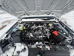 New 2025 Ford Ranger XL SuperCrew Cab for sale #5028 - photo 29