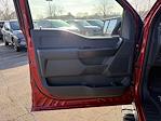 New 2025 Ford F-150 STX SuperCrew Cab for sale #5037 - photo 10