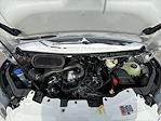 New 2026 Ford Transit 250 Low Roof Empty Cargo Van for sale #6053 - photo 26