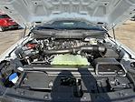 New 2026 Ford F-150 XLT SuperCrew Cab for sale #6060 - photo 30