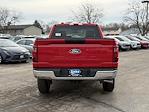 2026 Ford F-150 Regular Cab 4WD Pickup for sale #6079 - photo 4