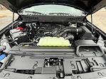 New 2026 Ford F-150 Tremor SuperCrew Cab for sale #6086 - photo 35