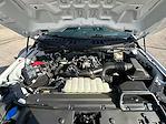 2024 Ford F-150 Regular Cab 4x2 Pickup for sale #9584A - photo 26