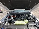 2025 Ford F-150 SuperCrew Cab 4x4 Pickup for sale #9848 - photo 33