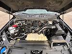 2023 Ford F-150 SuperCrew Cab 4x4 Pickup for sale #98845 - photo 29