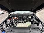 2024 Ford F-150 SuperCrew Cab 4x4 Pickup for sale #98893 - photo 39