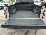 2023 Ford F-150 SuperCrew Cab 4WD Pickup for sale #98954 - photo 31