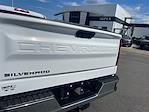 2024 Chevrolet Silverado 1500 Regular Cab 4x2 Pickup for sale #2CT1321 - photo 24