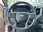 2024 Chevrolet Silverado 1500 Regular Cab 4x2 Pickup for sale #2CT7356 - photo 11