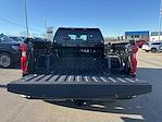2024 Chevrolet Silverado 1500 Double Cab 4WD Pickup for sale #2CT9252 - photo 27