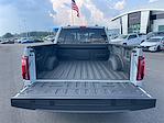 2024 Ford F-150 SuperCrew Cab 4x4 Pickup for sale #2FT6402 - photo 30