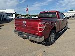 2013 Ford F-150 SuperCrew Cab 4x4 Pickup for sale #2GT91392A - photo 4