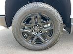 2025 Chevrolet Silverado 1500 Crew Cab 4x4 Pickup for sale #C00508 - photo 34