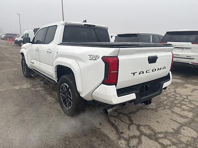 Used 2024 Toyota Tacoma - photo 1