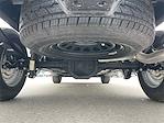 2024 Chevrolet Silverado 1500 Regular Cab 4x2 Pickup for sale #2CT3146 - photo 24