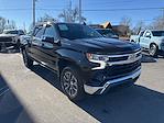 2023 Chevrolet Silverado 1500 Crew Cab 4WD Pickup for sale #2CT3907 - photo 9