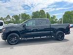 2024 Chevrolet Silverado 1500 Crew Cab 4x2 Pickup for sale #2CT6160 - photo 3