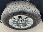 2023 Chevrolet Silverado 2500 Crew Cab 4x2 Pickup for sale #2CT6928 - photo 31