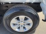 2024 Chevrolet Silverado 1500 Regular Cab RWD Pickup for sale #2CT8670 - photo 25