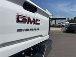 2024 GMC Sierra 2500 Double Cab 4x2 Pickup for sale #2GT8602 - photo 27