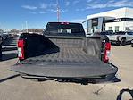 2024 Ram 2500 Crew Cab 4WD Pickup for sale #2RT0193 - photo 27