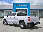 2025 Chevrolet Silverado 1500 Double Cab 4x4 Pickup for sale #C03584 - photo 4