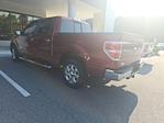 2014 Ford F-150 SuperCrew Cab 4x2 Pickup for sale #B312W3C - photo 3