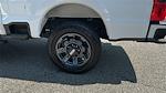 2023 Ford F-250 Crew Cab 4x4 Pickup for sale #CPC75436 - photo 19