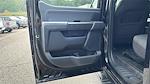 2023 Ford F-150 SuperCrew Cab 4WD Pickup for sale #CPE44136 - photo 20