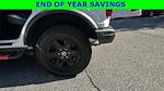 Used 2024 Ford Bronco Black Diamond for sale #KBA56726 - photo 19