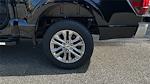 2026 Ford F-150 SuperCrew Cab 4WD Pickup for sale #KFA18732 - photo 19