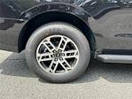 2025 Ford Expedition 4x2 SUV for sale #KFA24283 - photo 17