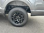 2025 Ford F-150 SuperCrew Cab 4x4 Pickup for sale #KFA33636 - photo 19