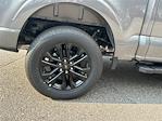 2025 Ford F-150 SuperCrew Cab 4x4 Pickup for sale #KFA72864 - photo 17