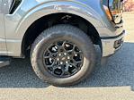 New 2025 Ford F-150 XLT SuperCrew Cab for sale #KFA88380 - photo 42