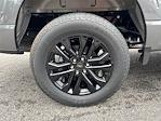 2025 Ford F-150 SuperCrew Cab 4x4 Pickup for sale #KFB03583 - photo 17