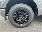 2025 Ford F-150 SuperCrew Cab 4x4 Pickup for sale #KFB19178 - photo 11