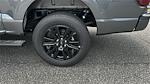 2025 Ford F-150 SuperCrew Cab 4x4 Pickup for sale #KFB23510 - photo 18