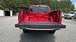 2025 Ford F-150 SuperCrew Cab 4x4 Pickup for sale #KFB24473 - photo 18