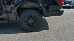 2025 Ford F-150 SuperCrew Cab 4WD Pickup for sale #KFB33519 - photo 18