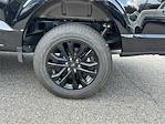2025 Ford F-150 SuperCrew Cab 4x4 Pickup for sale #KFB34526 - photo 19