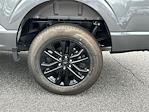 2025 Ford F-150 SuperCrew Cab 4x4 Pickup for sale #KFC01849 - photo 19