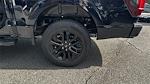 New 2025 Ford F-150 XLT SuperCrew Cab for sale #KFC40443 - photo 19
