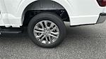 2025 Ford F-150 SuperCrew Cab 4WD Pickup for sale #KFC40608 - photo 19