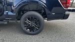 2025 Ford F-150 SuperCrew Cab 4WD Pickup for sale #KFC67305 - photo 19