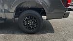 2025 Ford F-150 SuperCrew Cab 4WD Pickup for sale #KFC68663 - photo 19