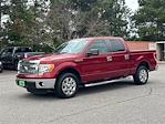 2013 Ford F-150 SuperCrew Cab RWD Pickup for sale #KFD14576B - photo 4